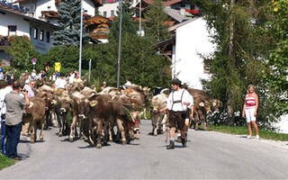 Alpské slavnosti shánění stád pod Hochkönigem - ilustrační fotografie