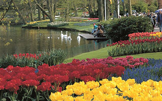 Amsterdam a kvetoucí zahrady Keukenhof - ilustrační fotografie