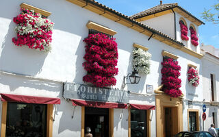 Andalusie - Vždy Krásná, Tentokráte V Době Festivalu Flamenka - ilustrační fotografie