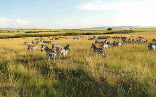 Camping Amboseli A Tsavo Safari V Keni - 7 Dní - ilustrační fotografie