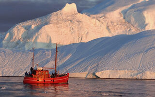 Grónská Nej - ilustrační fotografie