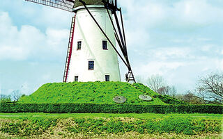 Holandsko a květinové korzo - ilustrační fotografie