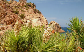 Korsika - ilustrační fotografie