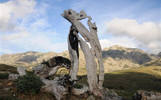 Korsika - ostrov krásy - ilustrační fotografie