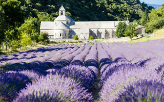 Kouzlo Provence A Středozemního Moře **+ - ilustrační fotografie