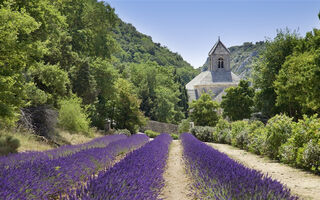 Malířská Provence a krásy Azurového pobřeží - ilustrační fotografie