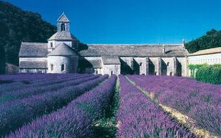 Provence - Královskou Francií - ilustrační fotografie