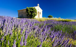 Provence - vůně levandule, turistické skvosty a přírodní parky - ilustrační fotografie