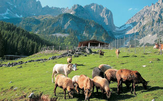 Rozmanité Rakouské Alpy - Np Vysoké Taury, Zillertálské Alpy, Wilder Kaiser - ilustrační fotografie