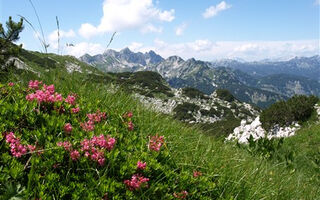 Slovinsko, jezerní ráj a Julské Alpy - ilustrační fotografie