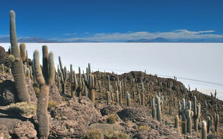 To Nejlepší Z Peru A Bolívie - ilustrační fotografie