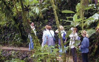 Trekking Národními Parky Kostariky - 9 Dní - ilustrační fotografie