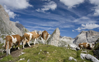 Val di Fiemme -  TOP Dolomit - ilustrační fotografie