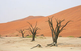 Velký okruh Namibií - ilustrační fotografie