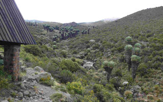 Výstup Na Mt. Kenya - Cesta Sirimon / Chogoria - 8 Dní - ilustrační fotografie