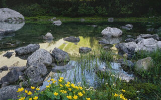 Zahrady Rakouska a ráj orchidejí v NP Kalkalpen - ilustrační fotografie