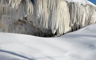 Zimní Safari V Utahu A Yellowstonu - ilustrační fotografie