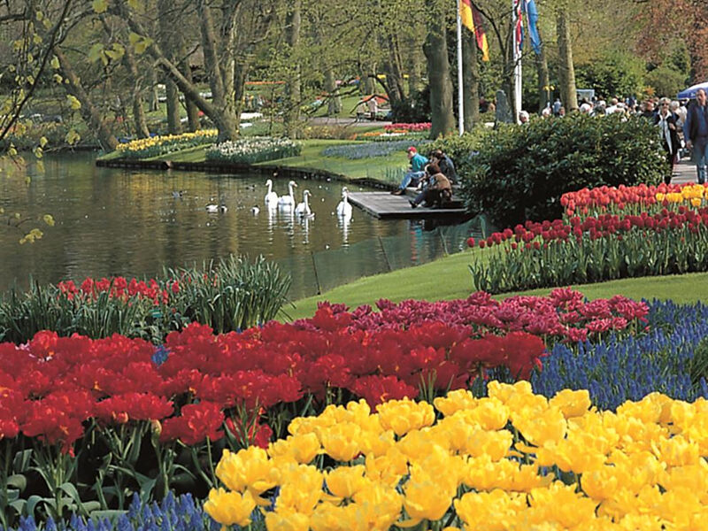 Amsterdam a kvetoucí zahrady Keukenhof