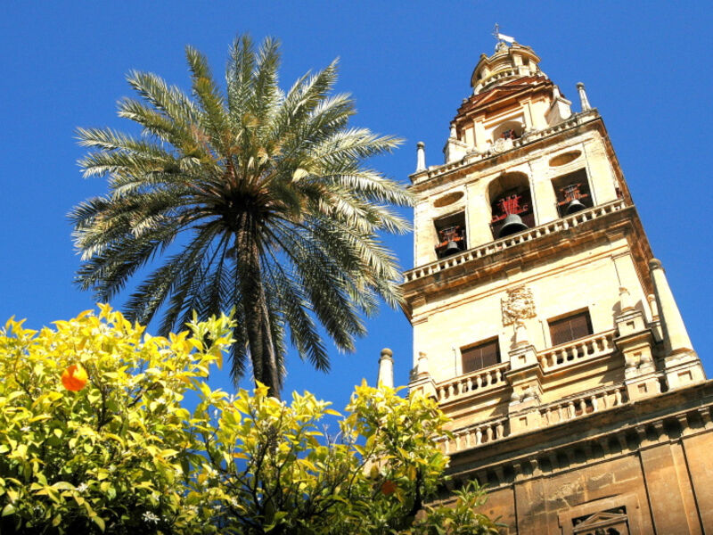 Andalusie - Vždy Krásná, Tentokráte V Době Festivalu Flamenka