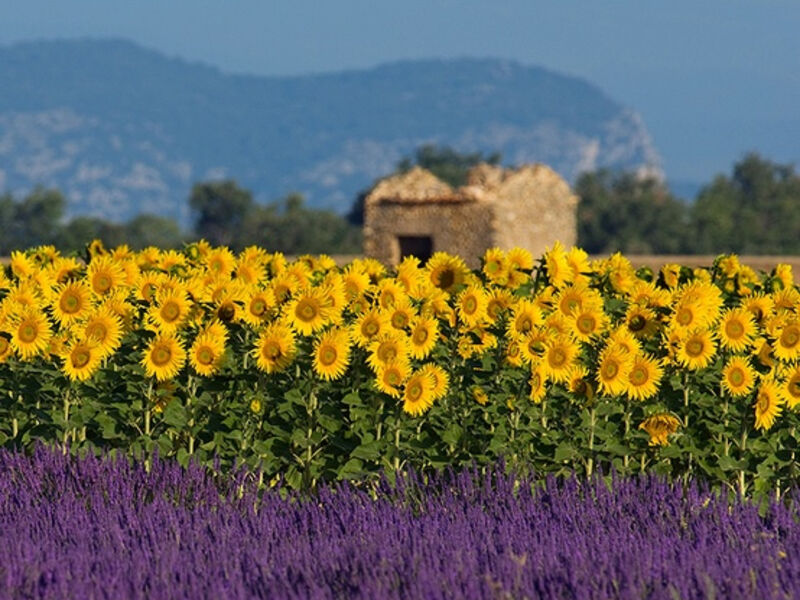 Báječná Provence