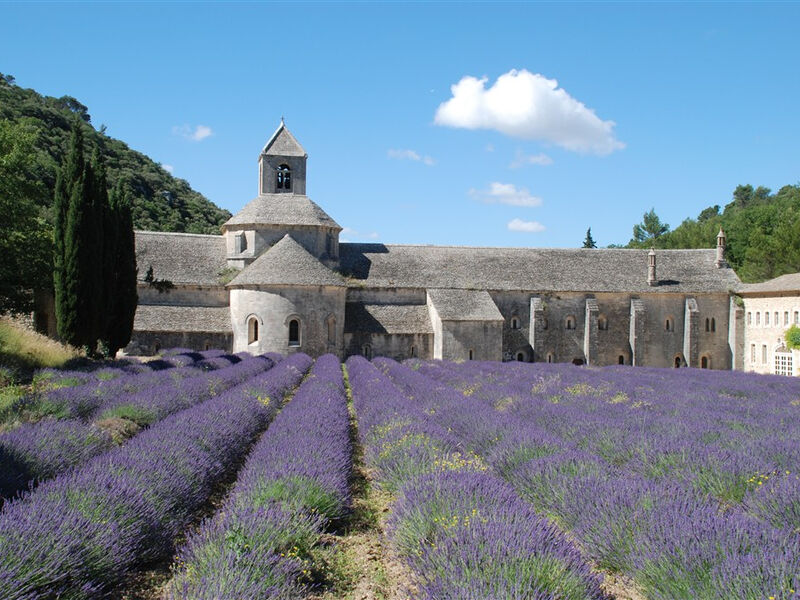 Barevná Provence