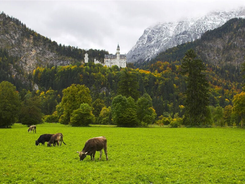 Bavorské Alpy - lehká turistika a zámky Ludvíka II.