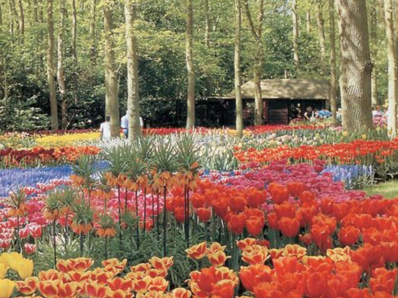 Benelux - Květinové Korzo