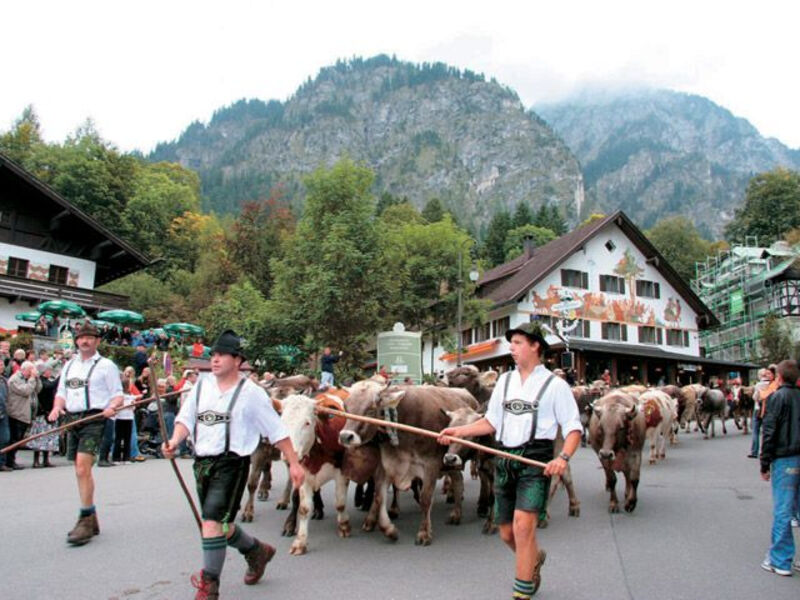 Berchtesgaden A Okolí Se Stewardy (Bez Nočních Přejezdů)