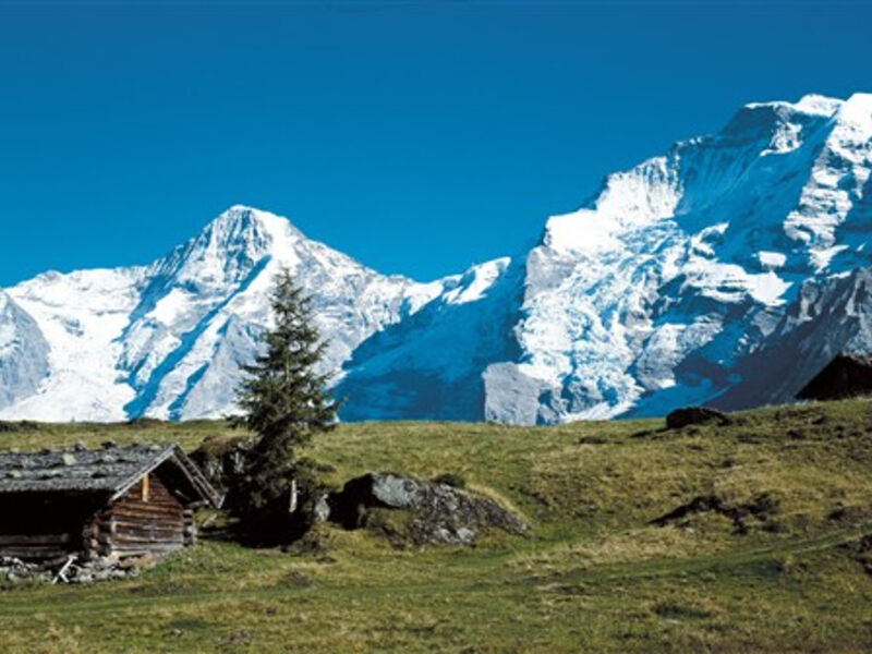 Bernské Alpy a Jungfraujoch
