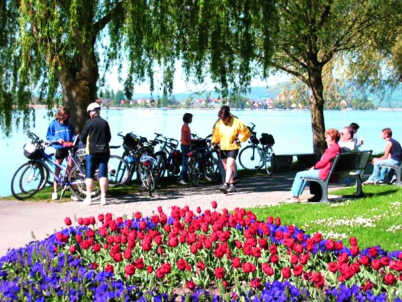 Bodamské jezero
