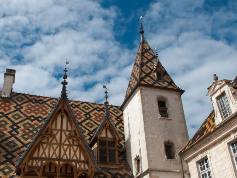 Burgundsko a Champagne - víno a katedrály