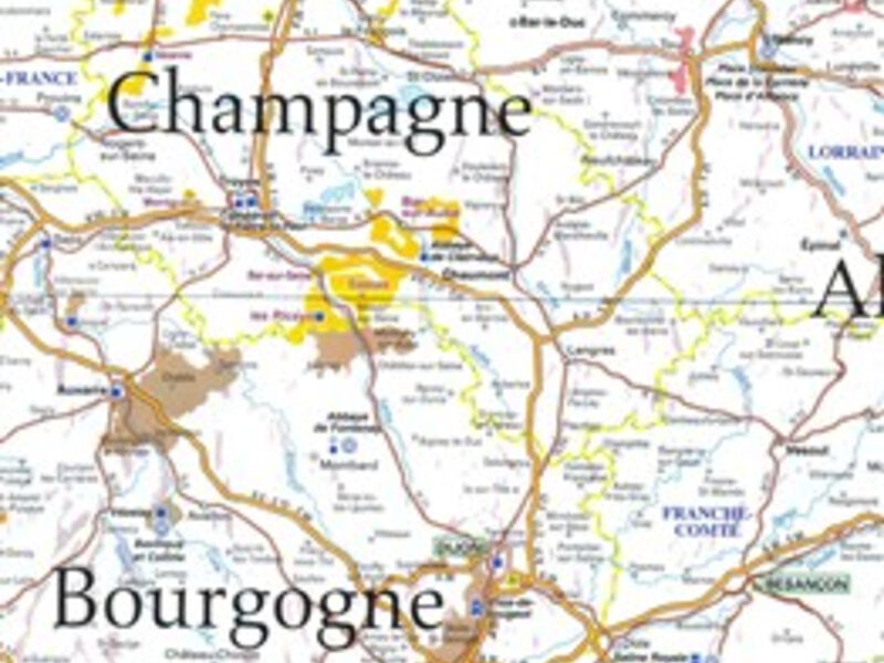 Burgundsko, Champagne, víno a katedrály 2013