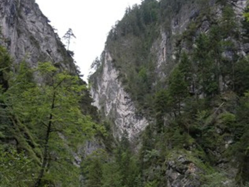 Divoká krása Tyrol v Kitzbühelu s kartou