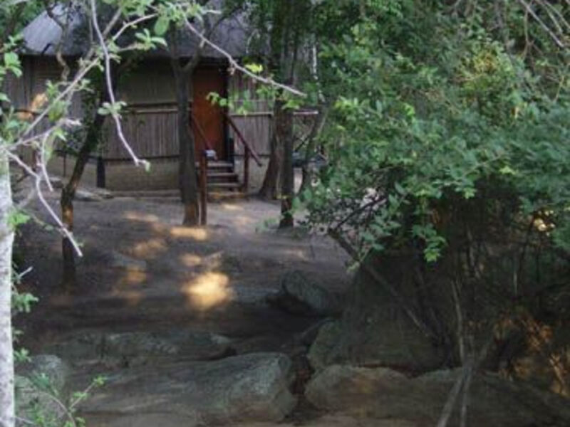 Divoké Safari V Krugerově Np S Ubytováním V Korunách Stromů - 8 Dní