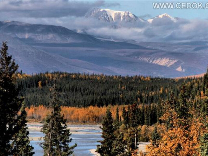 Dobrodružství Aljašky A Yukonu