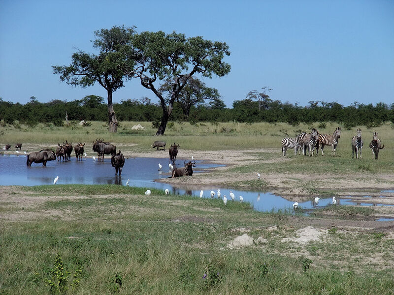 Exclusivní safari a pobytu Mosambiku