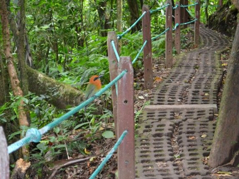 Fascinující Deštné Pralesy Kostariky - 9 Dní