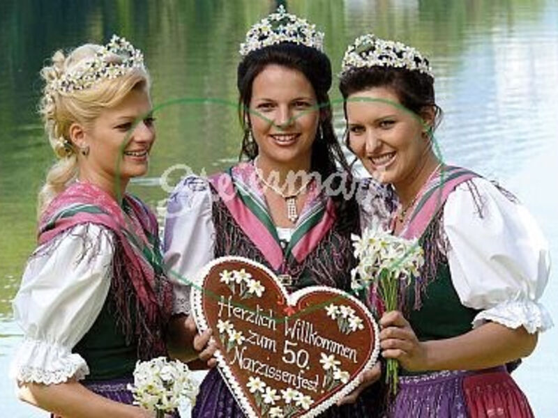 Festival narcisů v Solné komoře - květinový svátek Rakouska
