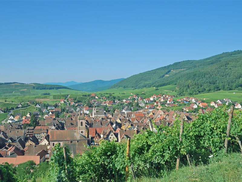 Francie - Alsasko A Schwarzwald