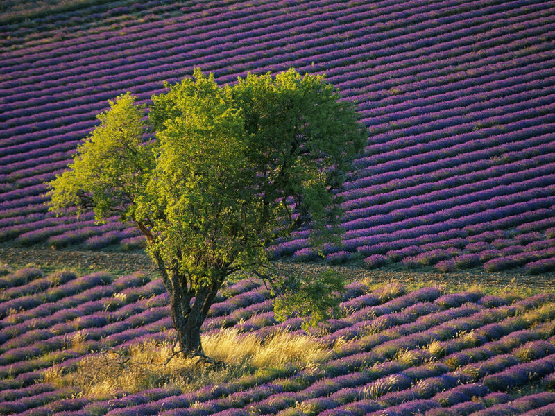 Francie - Malířská Provence A Krásy Azurového Pobřeží