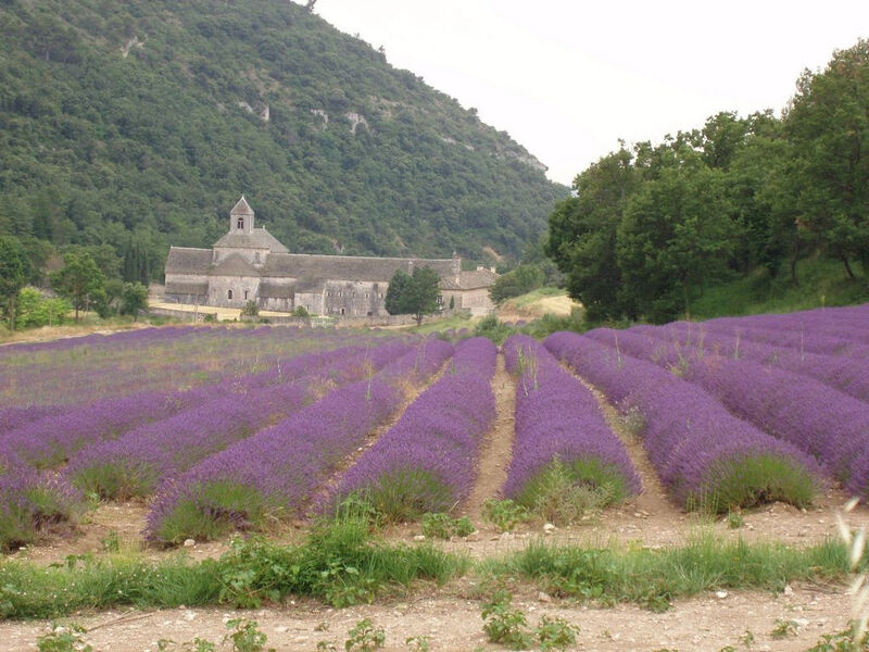 Francie - Provence Na Kole V Pohodě *