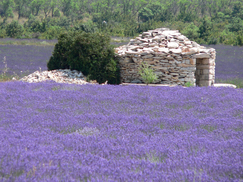 Francie - Provence Plná Zážitků Na Kole - Stan