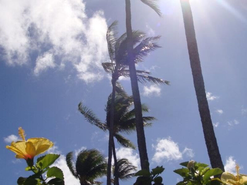 Havajské Ostrovy - Oahu A Maui