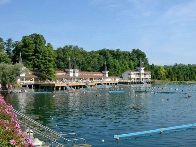 Hevíz - Hotel Danubius 4* Hévíz - Balíček 4 Noci Za Super Cenu, Termální Bazény, Jezero Cca 500 M