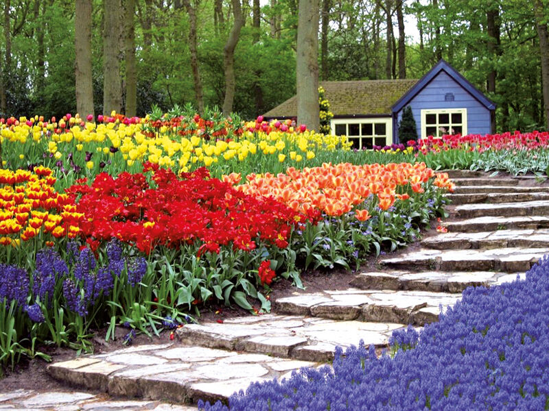 Holandsko a květinové korzo