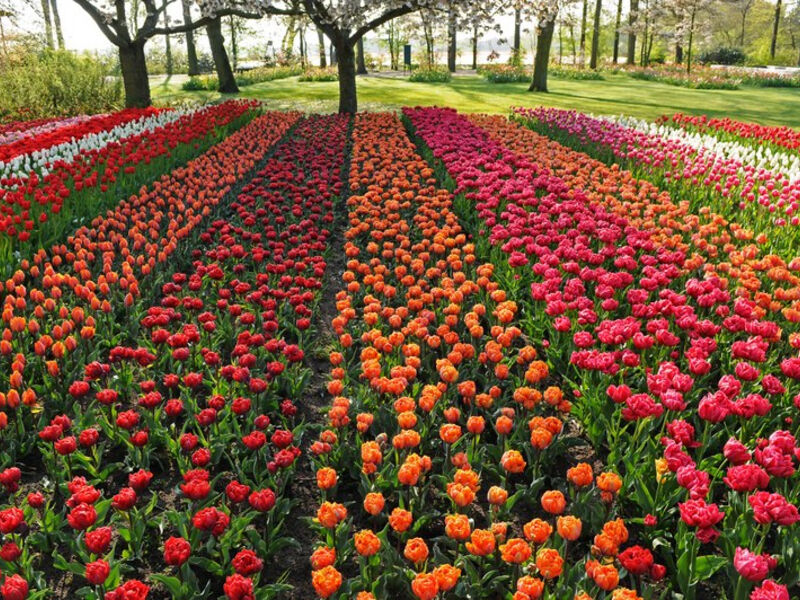 Holandsko A Nejkrásnější Zahrady Německa **