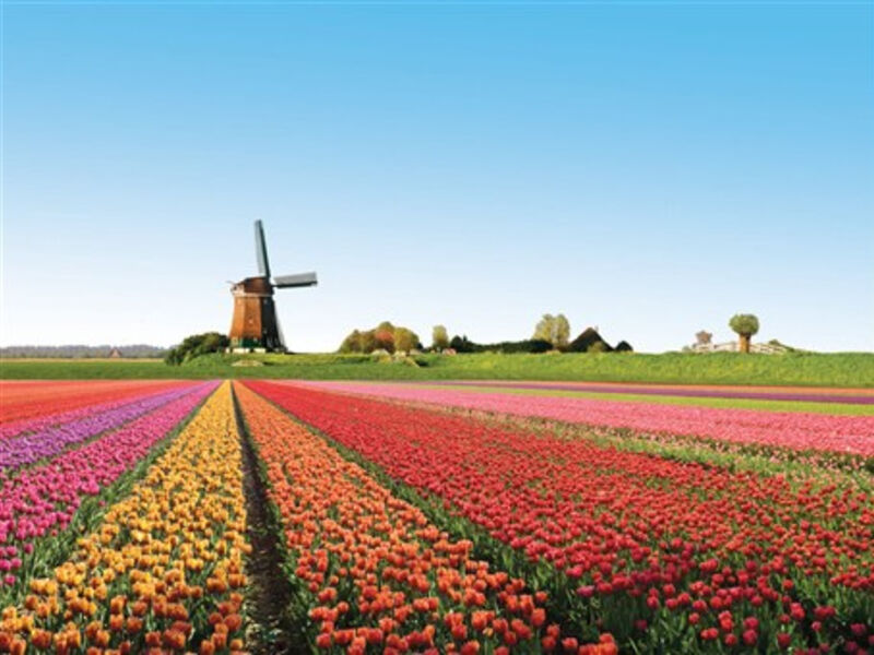 Holandsko, zahrady a Den královny