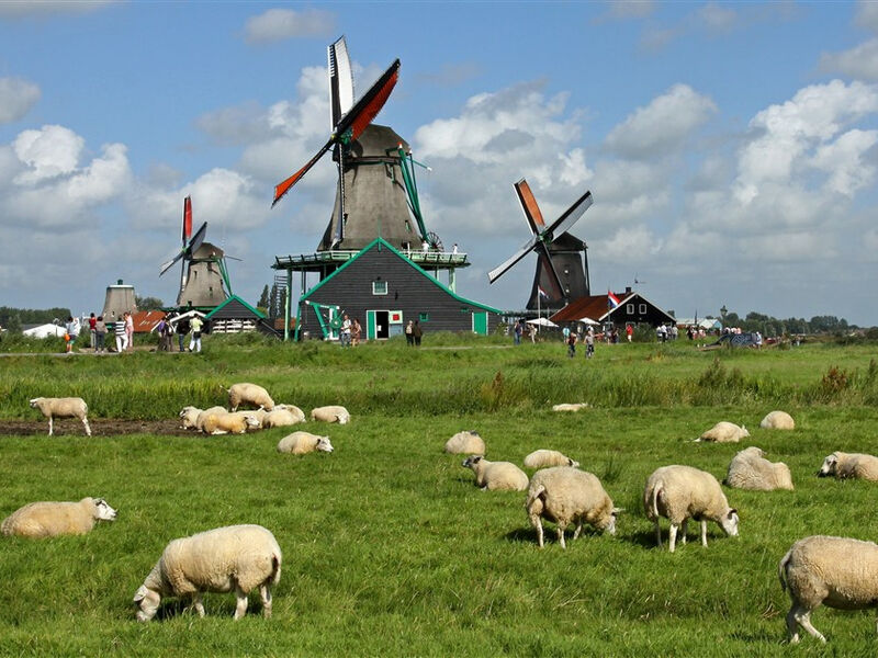 Holandsko - země tulipánů - květinové korzo