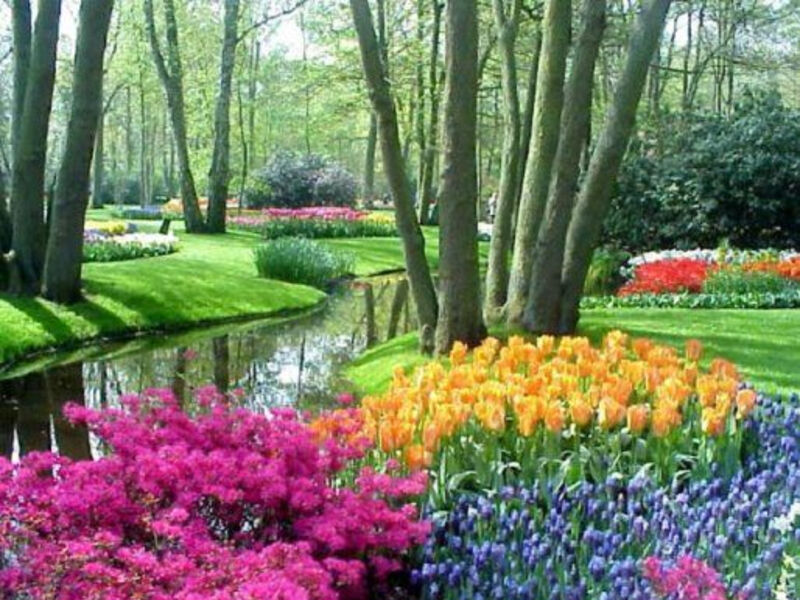 Jarní Holandsko