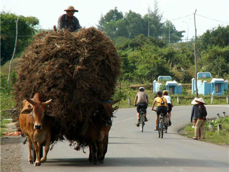 Jižní Vietnam na kole